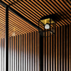 Caged Outdoor Flush Mount