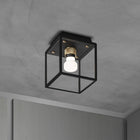 Caged Outdoor Flush Mount
