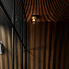 Caged Outdoor Flush Mount