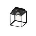 Caged Outdoor Flush Mount