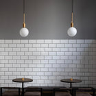 Forked Globe Pendant Light