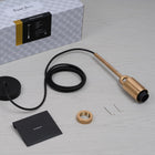 Forked Globe Pendant Light