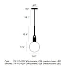 Forked Globe Pendant Light