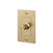 Linear Dimmer Switch  option Brass