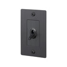 Linear Toggle Switch