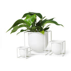 Kubus Flowerpot
