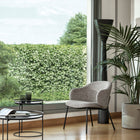 Holly Dining Chair