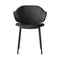 Holly Dining Chair  option P15 Matt Black