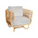 Nest Lounge Chair