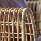 Nest Lounge Chair