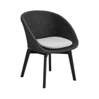 Peacock Dining Chair