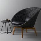 Peacock Lounge Chair