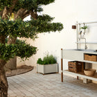 Sticks Outdoor Planter