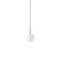 Arya Pendant Light  option White