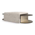 Bridge The Gap Coffee Table