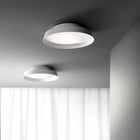 Boop! Wall/Ceiling Light