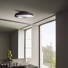 Boop! Wall/Ceiling Light