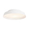 Boop! Wall/Ceiling Light  option White Exterior / White Interior