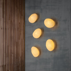 Codol Wall / Ceiling Light