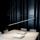 Lineal Pendant Light
