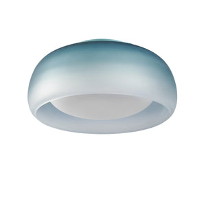 Medusa LED Wall/Ceiling Light
