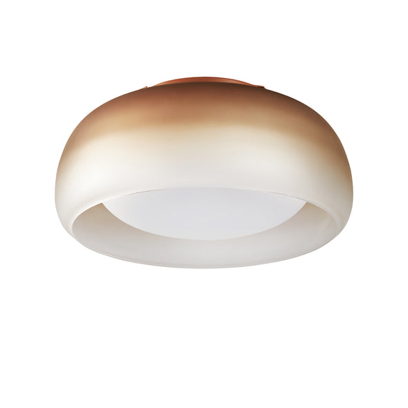 Medusa LED Wall/Ceiling Light