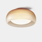 Medusa LED Wall/Ceiling Light