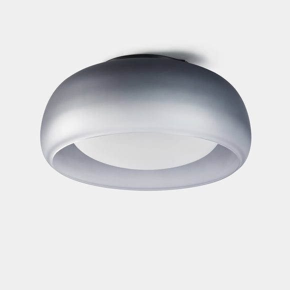 Medusa LED Wall/Ceiling Light