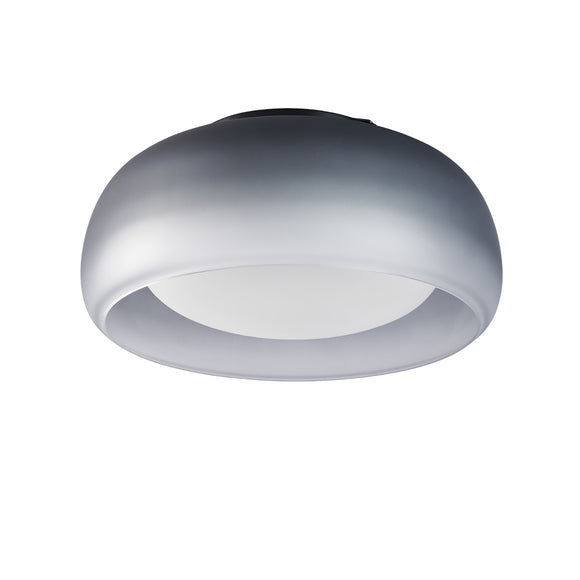 Medusa LED Wall/Ceiling Light