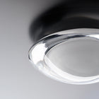 Venus Wall / Ceiling Light