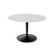 Coalbrook Dinning Table  option Bianco Carrara