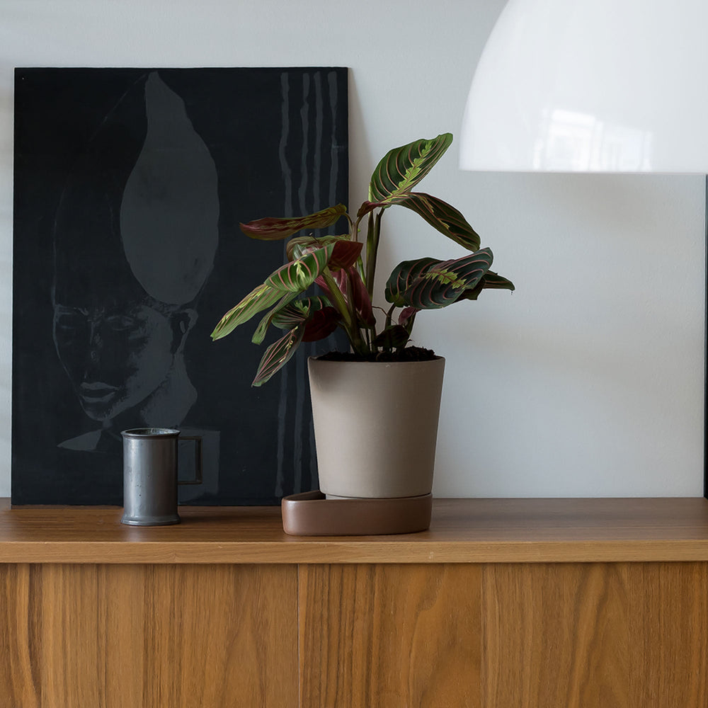 Sip Plant Pot