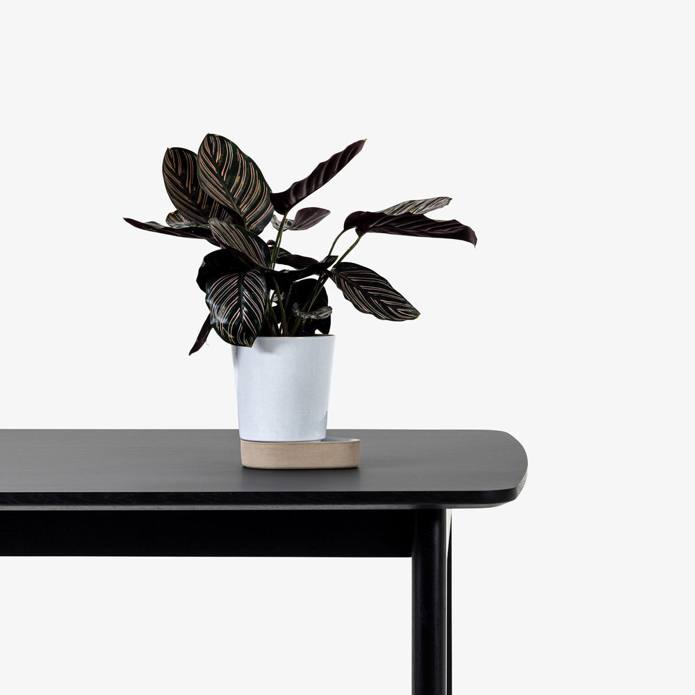 Sip Plant Pot