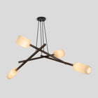 Locus Chandelier