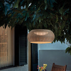 Perris Outdoor LED Pendant Light