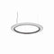 Roda LED Pendant Light  option White Ribbon