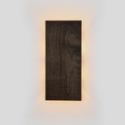 Tersus Large LED Wall Sconce