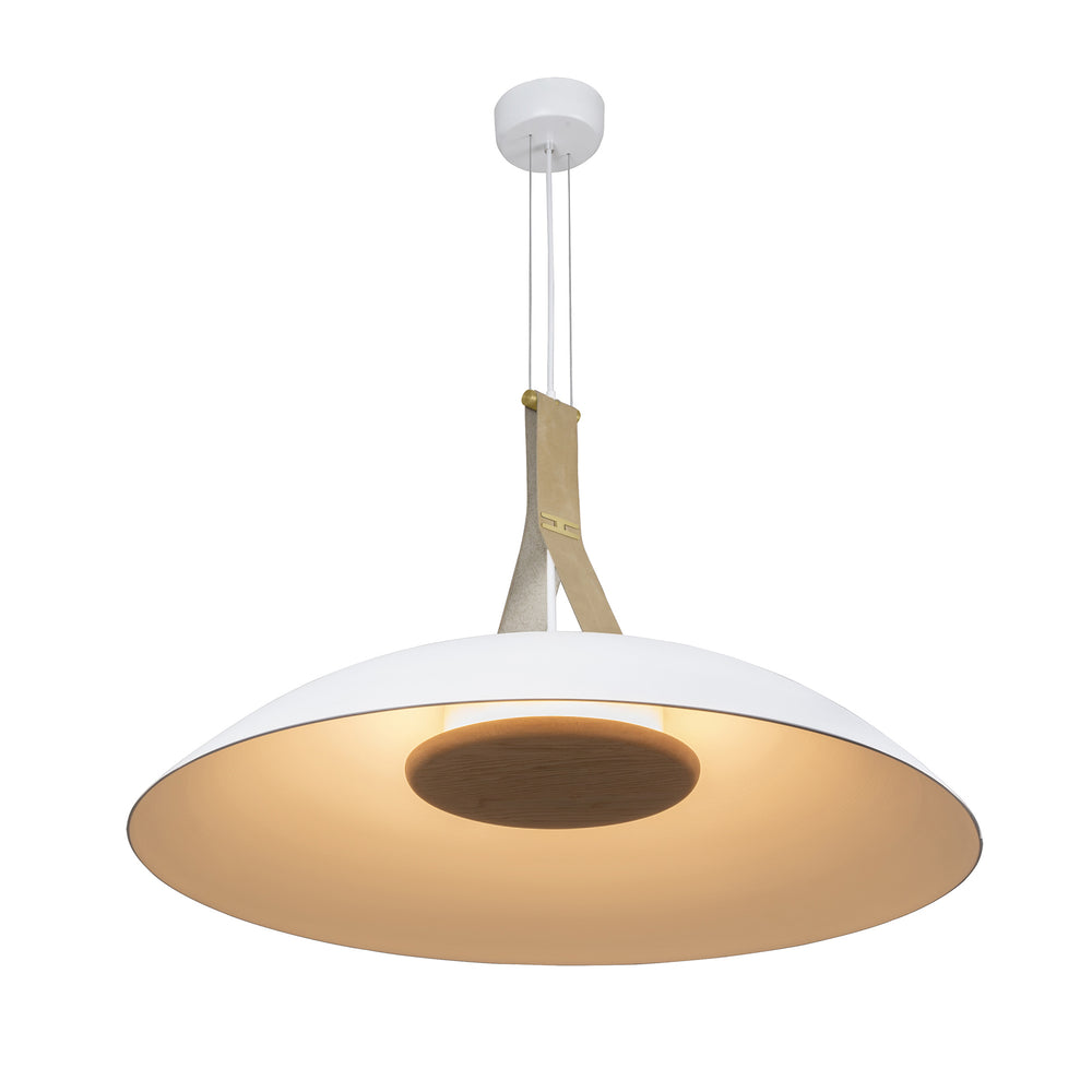 Volo LED Pendant Light