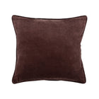 Velvet Throw Pillow