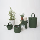 Hachiman Garden Beetle Watering Can