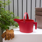 Hachiman Garden Beetle Watering Can