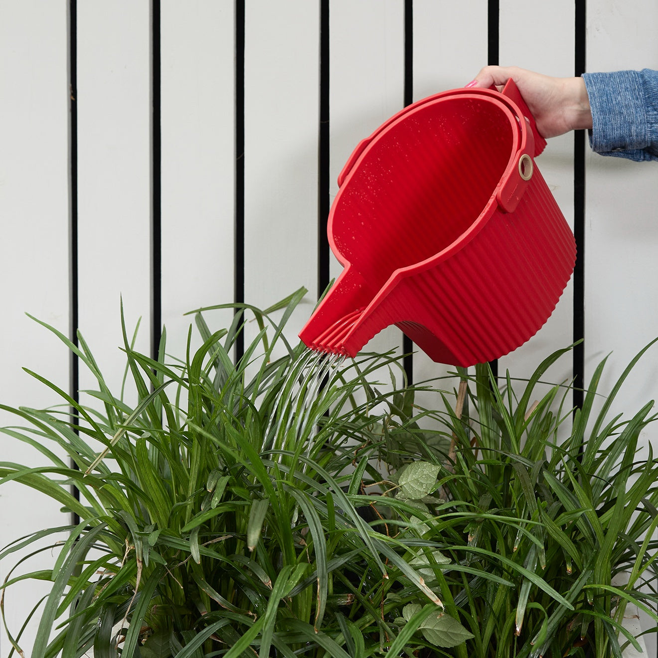 Chilewich Hachiman Garden Beetle Watering Can - 2Modern