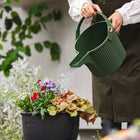Hachiman Garden Beetle Watering Can