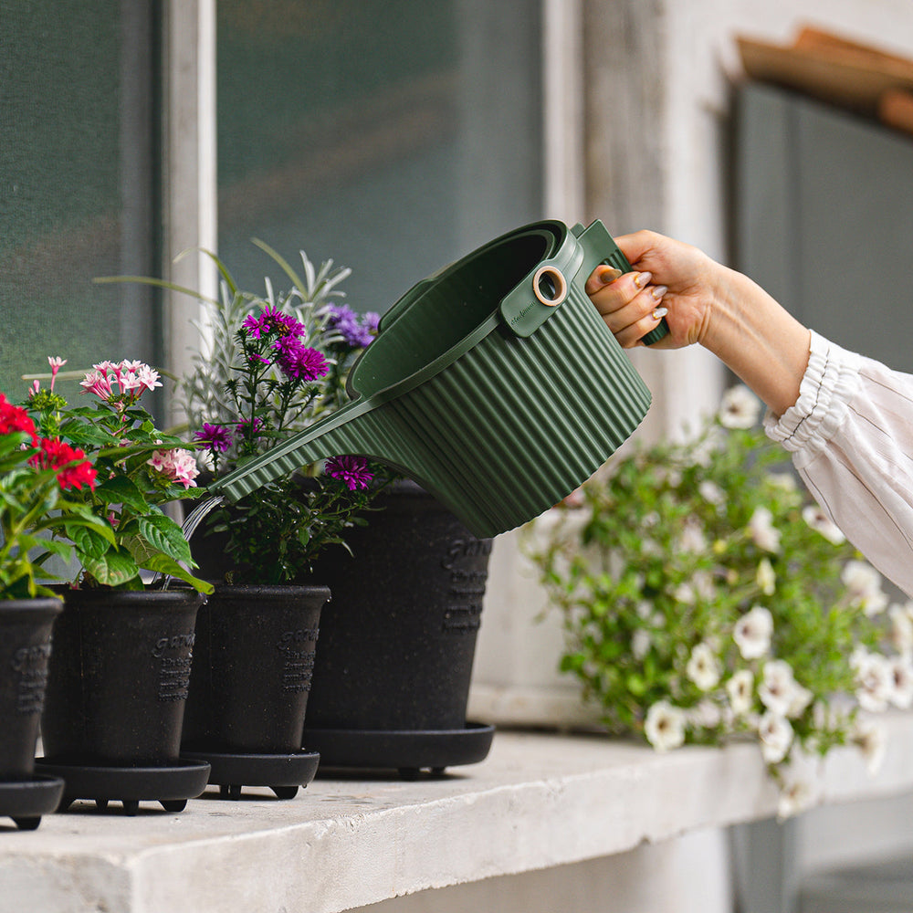 Hachiman Garden Beetle Watering Can