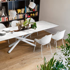 Academy Dining Armchair with Tube Base