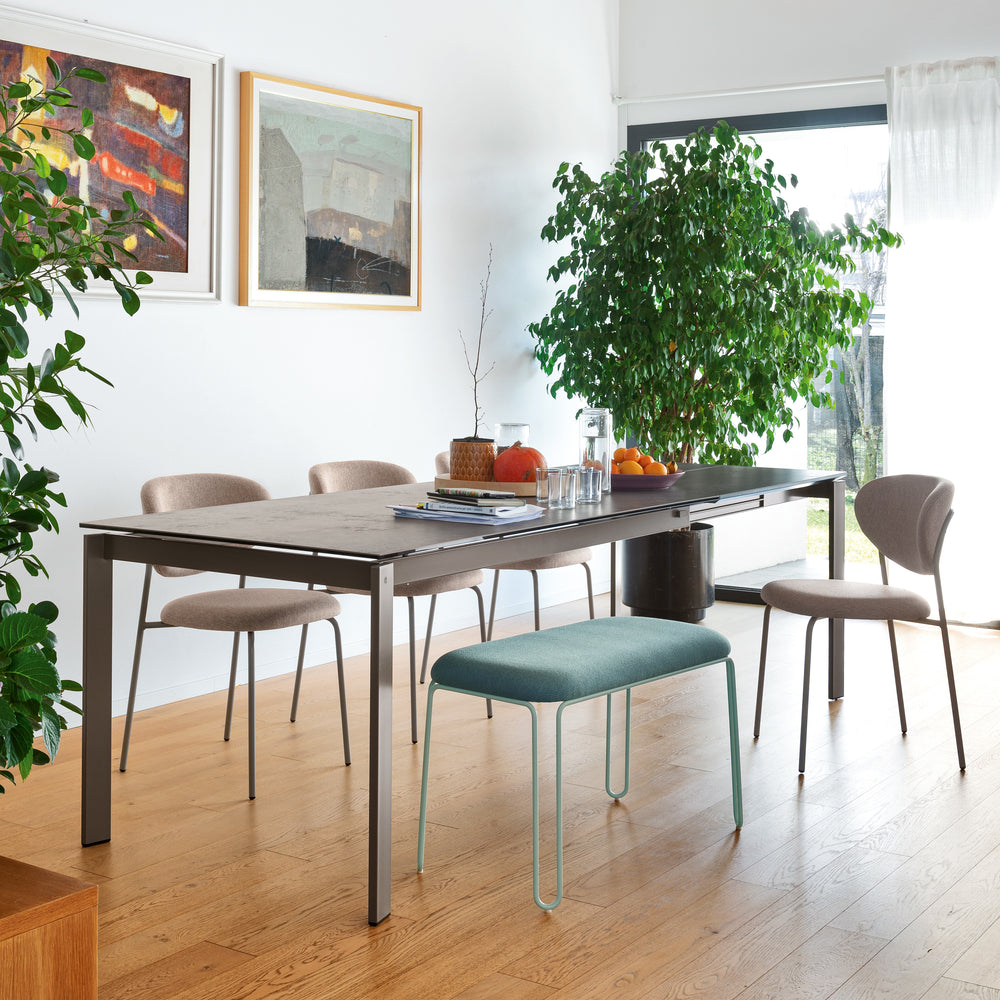 Cozy Dining Chair