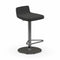 Riley Adjustable Stool  option Black Ekos