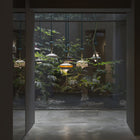 Calypso Guadaloupe Outdoor Pendant Light