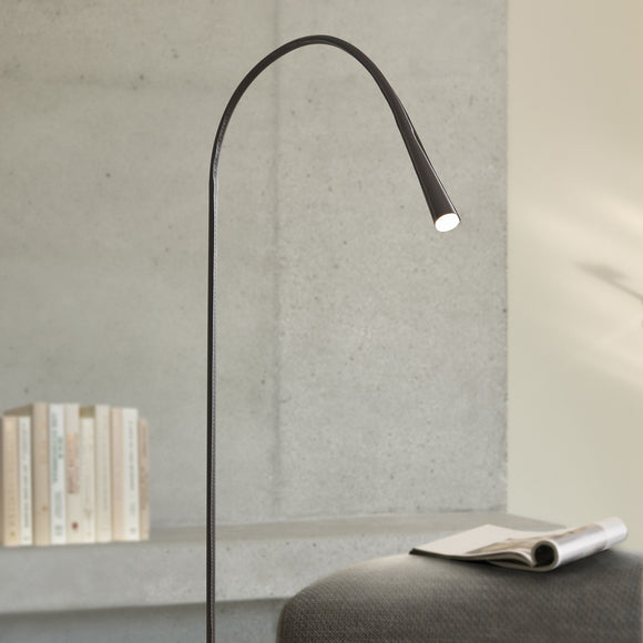 Flexiled Floor Lamp