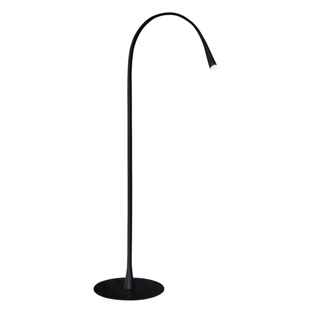 Flexiled Floor Lamp
